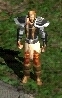 Druid-hardleather.jpg