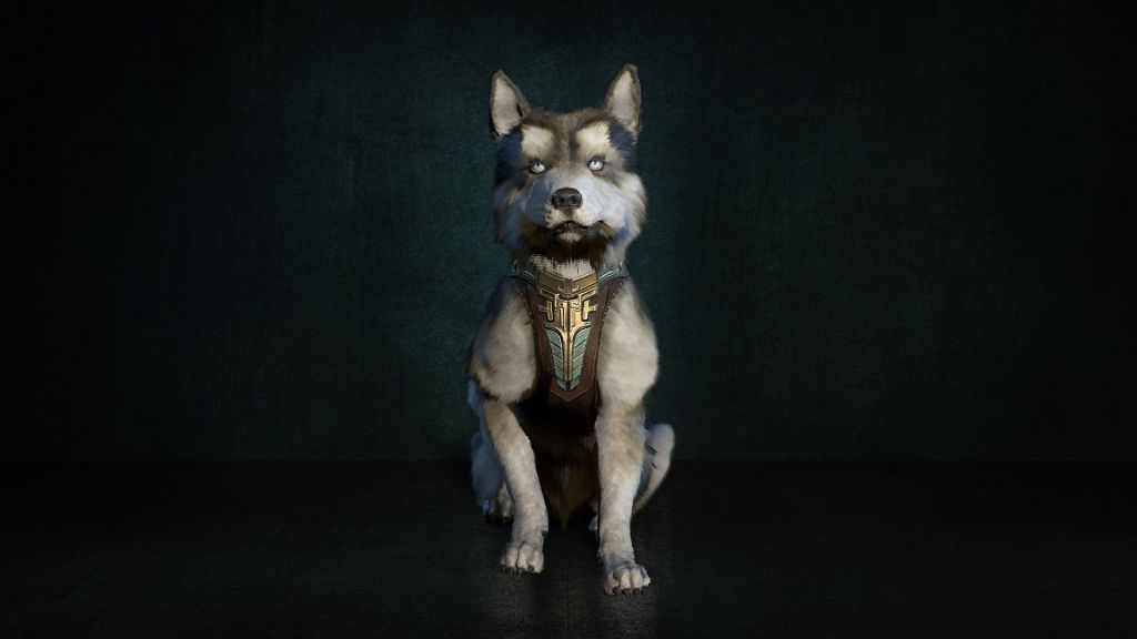 File:Hratli Canine Pet.jpg