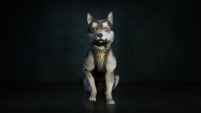 Hratli Canine Pet