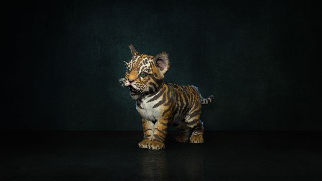 Natalya Tiger Pet