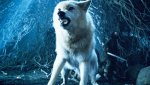 Game-Of-Thrones-Season-8-Ghost-the-Direwolf-Is-the-Best-Choice-for-the-Iron-Throne-1280x720.jpg