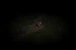 Fallen i mörkret.jpg