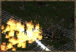 20w5.JPEG