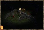21w4.JPEG
