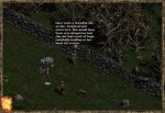 23w1.JPEG
