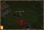 23w3.JPEG