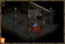 24w2.JPEG