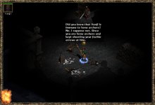 24w3.JPEG