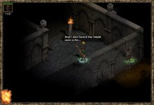 24w5.JPEG