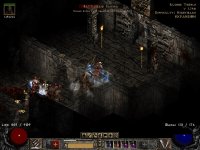 NM A3 (Sarina).jpg