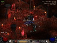 15 - Witchwild String.jpg