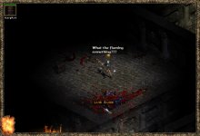28w2.JPEG