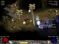 griffons1unid.jpg
