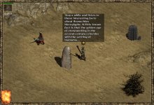 30w3.JPEG