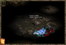 38w10.JPEG