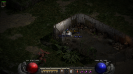 Diablo 2 Resurrected Screenshot 2021.11.10 - 00.50.02.14.png