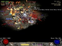 firelizards1.jpg