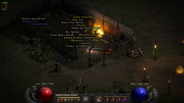 Diablo II_ Resurrected 1_4_2022 5_07_02 PM.png