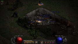 Diablo II_ Resurrected 1_4_2022 10_13_49 AM.png