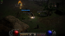 Diablo II_ Resurrected 1_10_2022 6_08_26 PM.png