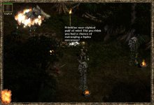 39w5.JPEG