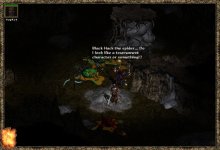 39w11.JPEG