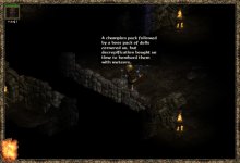 40w9.JPEG