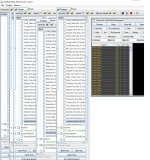 gomule display bug.jpg