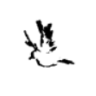 little birdy