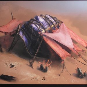 Desert shelter