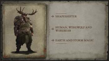 Diablo 4 Systems and Features Panel BlizzCon 2019 8 Druid Profile
