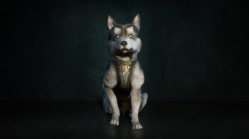 Hratli Canine Pet
